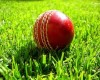 Schools Cricket Round-up   (14/1/2014)