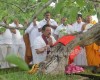 President Rajapaksa participates in an ordination ceremony of 75 Buddhist monks at Ruwanweli Seya