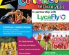 Cricket Festival 2014 – 29th June 2014