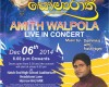 “Saumya Rathree” Amith Walpola live in concert