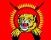 Sri Lanka says US clear LTTE still active