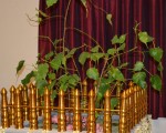 Opening Ceremony of “ Golden Fence ” at Heathrow Athula Dassana International Buddhist Temple on 27th  January 2013